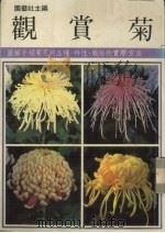 观赏菊   1987  PDF电子版封面    园艺社著 
