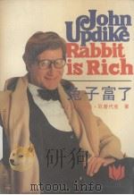 兔子富了   1988  PDF电子版封面  7207011601  （美）厄普代克（Updike，John）著；姚　英，夏　军译 