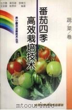 番茄四季高效栽培技术（1999 PDF版）