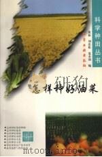 怎样种好油菜   1997  PDF电子版封面  7502521577  黄崧等编 