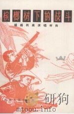 槟榔树下的战斗（1966 PDF版）