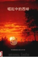 崛起中的西峡   1993  PDF电子版封面    中共西峡县委宣传部编 