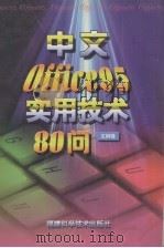 中文Office 95实用技术80问   1997  PDF电子版封面  7533511131  王树锋编著 