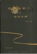 电炉炼钢工MES培训大纲   1991  PDF电子版封面  7504508233  王宁成主编 