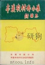本溪农村奔小康     PDF电子版封面    本溪市统计局编 