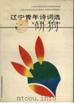 辽宁青年诗词选   1993  PDF电子版封面  7805569401  姚莹主编 