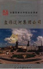 盘锦辽河集团公司   1996  PDF电子版封面  7800924866  林志等主编 
