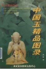 中国玉精品图录   1998  PDF电子版封面  7806096108  英雄编著 