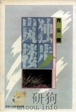 独步岚楼（1995 PDF版）