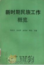 新时期民族工作概览   1993  PDF电子版封面  7507503062  杨侯第等编 