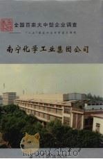 中国国情丛书  全国百家大中型企业调查  南宁化学工业集团公司   1995  PDF电子版封面  7800924033  肖永孜，寿思华主编 