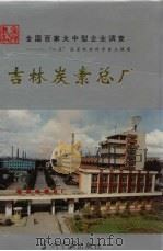 吉林炭素总厂   1995  PDF电子版封面  7800924114  夏有恒，金世和主编 