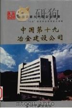中国第十九冶金建设公司   1995  PDF电子版封面  7800924211  赵颖，张长富主编 