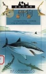 鲨鱼（1999 PDF版）
