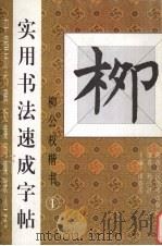实用书法速成字帖  柳公权楷书（1997 PDF版）