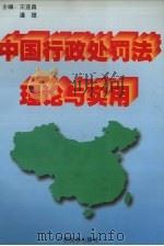 中国行政处罚法理论与实用   1996  PDF电子版封面  7536329431  王连昌主编 