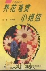 养花观赏小绝招   1994  PDF电子版封面  7537512299  金鑫，叶拱照编 