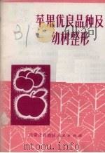 苹果优良品种及幼树整形   1972  PDF电子版封面    内蒙古自治区农业科学研究所编 