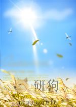 中国植物志  第四卷  第二分册（1999 PDF版）