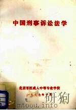 中国刑事诉讼法学   1997  PDF电子版封面     