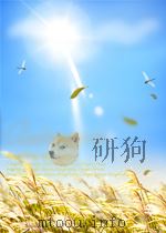 王朔挑战金庸   1999  PDF电子版封面    张峰编 