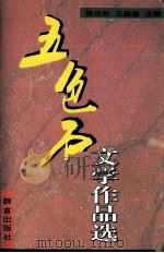 五色石文学作品选   1996  PDF电子版封面  7800801780  张庆和，王振荣主编 