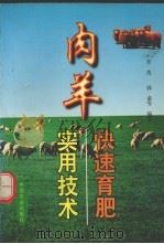 肉羊快速育肥实用技术   1997  PDF电子版封面  7109047032  李英等编著 