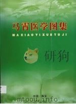 马宵医学图集     PDF电子版封面     
