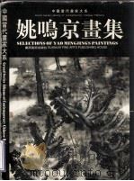 姚鸣京画集   1998  PDF电子版封面  7806255362  姚鸣京绘 