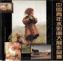 中国青年水彩画大展作品集   1997  PDF电子版封面  7538606203   