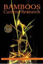 BAMBOOS CURRENT RESEARCH（ PDF版）