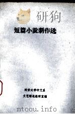 短篇小说新作选     PDF电子版封面    延安大学中文系文艺理论教研室编 