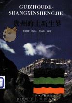 贵州的上新生界（1994 PDF版）