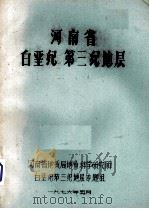 河南省白垩纪第三纪地层（1976 PDF版）