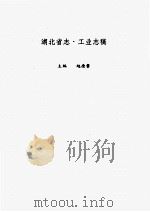 湖北省志  工业志稿  电力（1993 PDF版）