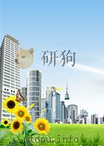 西洋版画与北京城     PDF电子版封面     