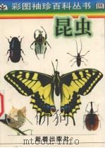 昆虫   1998  PDF电子版封面  7530720503  （英）劳伦斯·蒙德，（英）史蒂夫·布鲁克斯原著；于晓丹译 