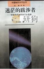 迷茫的跋涉者  中国当代知识分子心态录   1995  PDF电子版封面  7215034364  张志忠著 