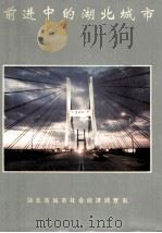 前进中的湖北城市  1996   1996  PDF电子版封面    陈建平主编 