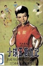 小球王复仇记（1981 PDF版）