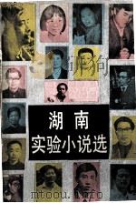 湖南实验小说选（1987 PDF版）