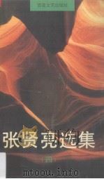 张贤亮选集  4（1995 PDF版）
