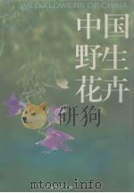 中国野生花卉（1996 PDF版）