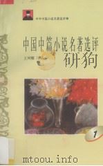 中国中篇小说名著选评  1   1996  PDF电子版封面  7810294490  王列耀选编 