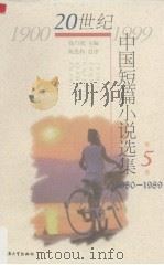 20世纪中国短篇小说选集  第5卷  1980-1989（1999 PDF版）