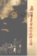 舟山革命文化史料选编   1992  PDF电子版封面    舟山市文化局，舟山市定海区文化局编 