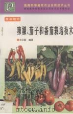 辣椒、茄子和番茄栽培技术（1998 PDF版）