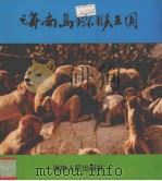 海南岛猕猴王国（1988 PDF版）