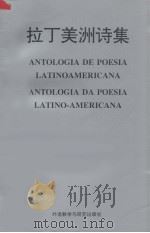 拉丁美洲诗集   1994  PDF电子版封面  7560009476   