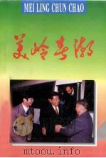 美岭春潮   1996  PDF电子版封面     